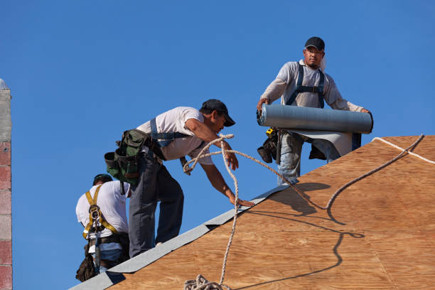 Best Shingle Roofing Installation  in Mcgovern, PA